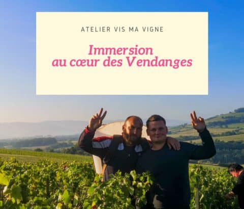 Atelier immersif – Vis ma Vigne