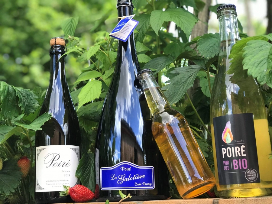 Poiré VS Champagne